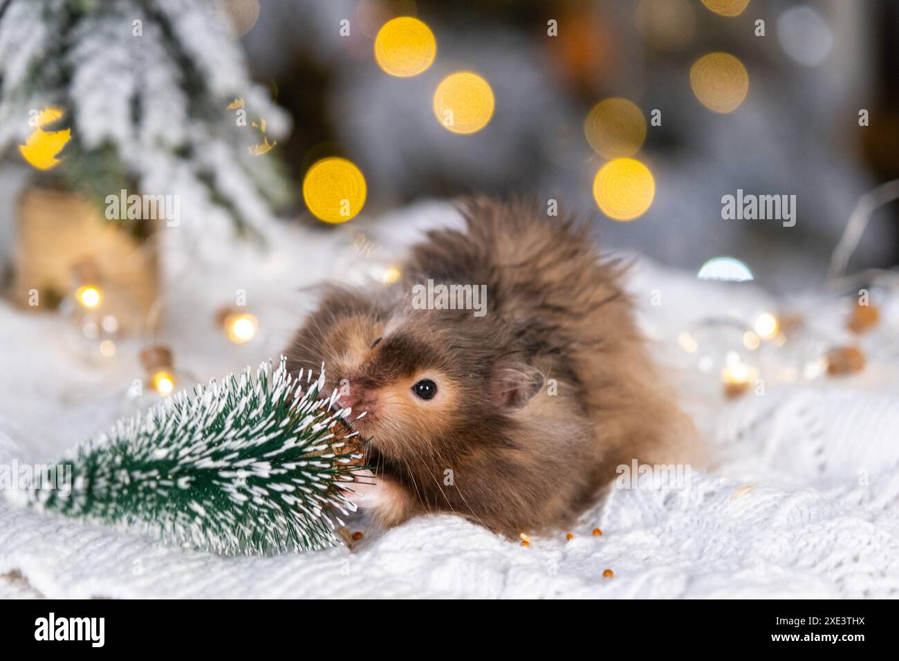 Un divertente e soffice spuntino di criceto che si snoda sull'albero di Natale su sfondo natalizio con luci da favola e bokeh Foto Stock