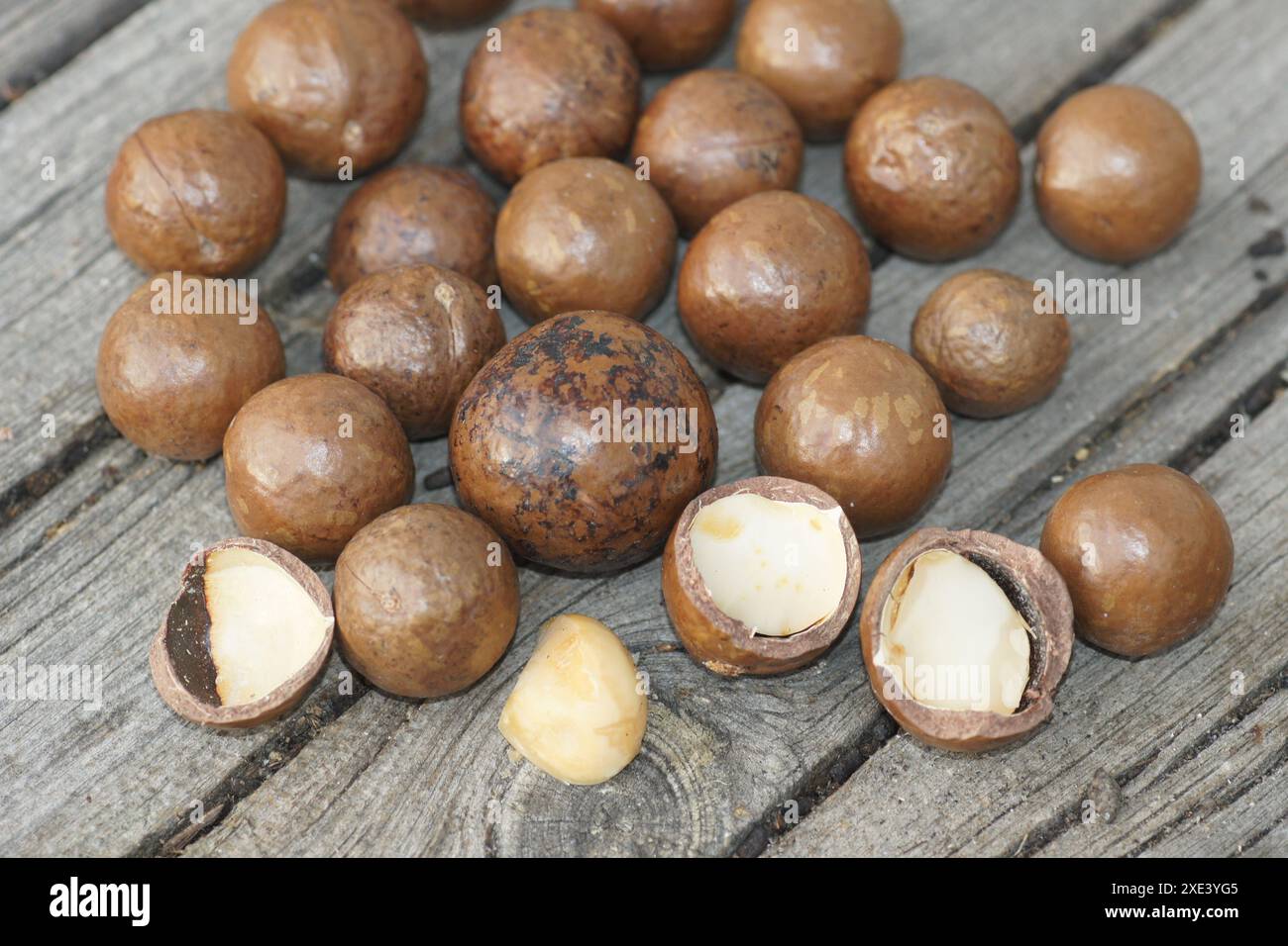 Noci di macadamia Foto Stock