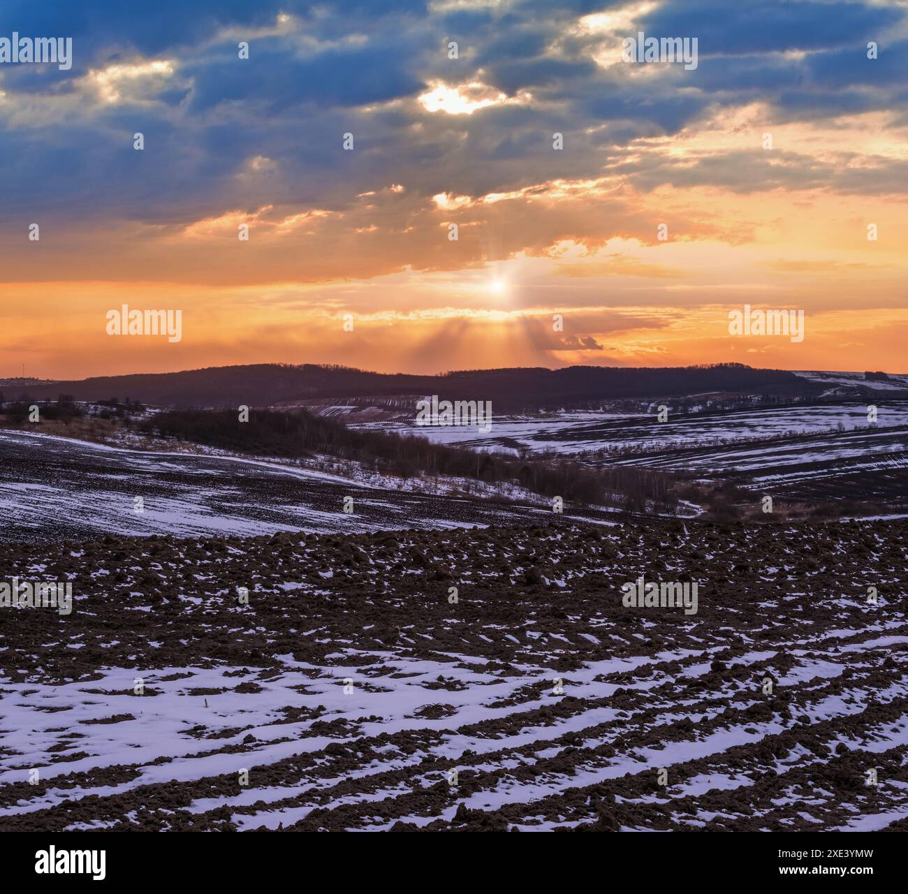 Terra nera, terra arabile coperta dall'ultima neve, primavera primaverile. Calmo tramonto serale nella campagna Ucraina, regione di Lviv Foto Stock