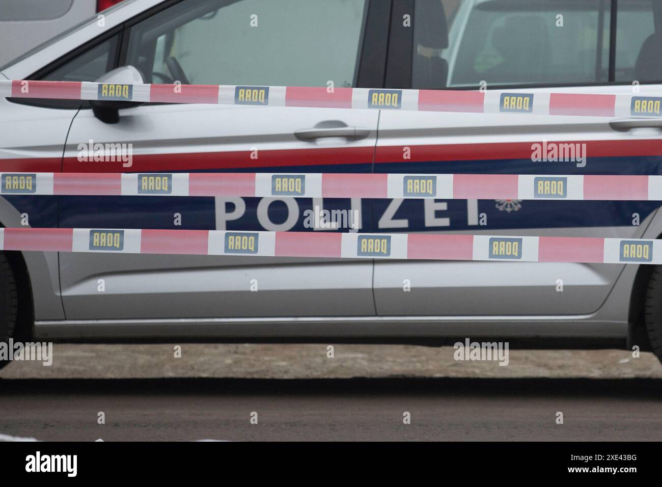 Simboli e segni delle forze di polizia austriache Foto Stock