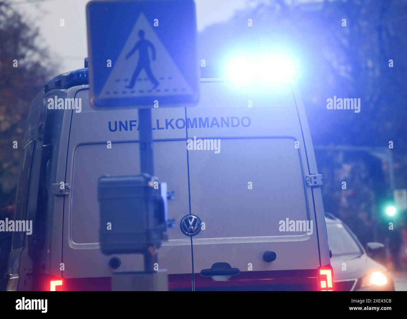 Simboli e segni delle forze di polizia austriache Foto Stock