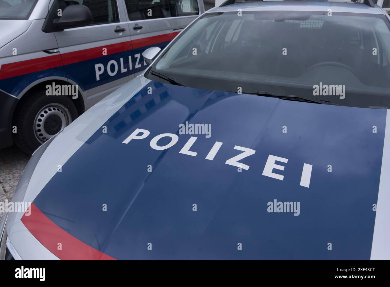 Simboli e segni delle forze di polizia austriache Foto Stock