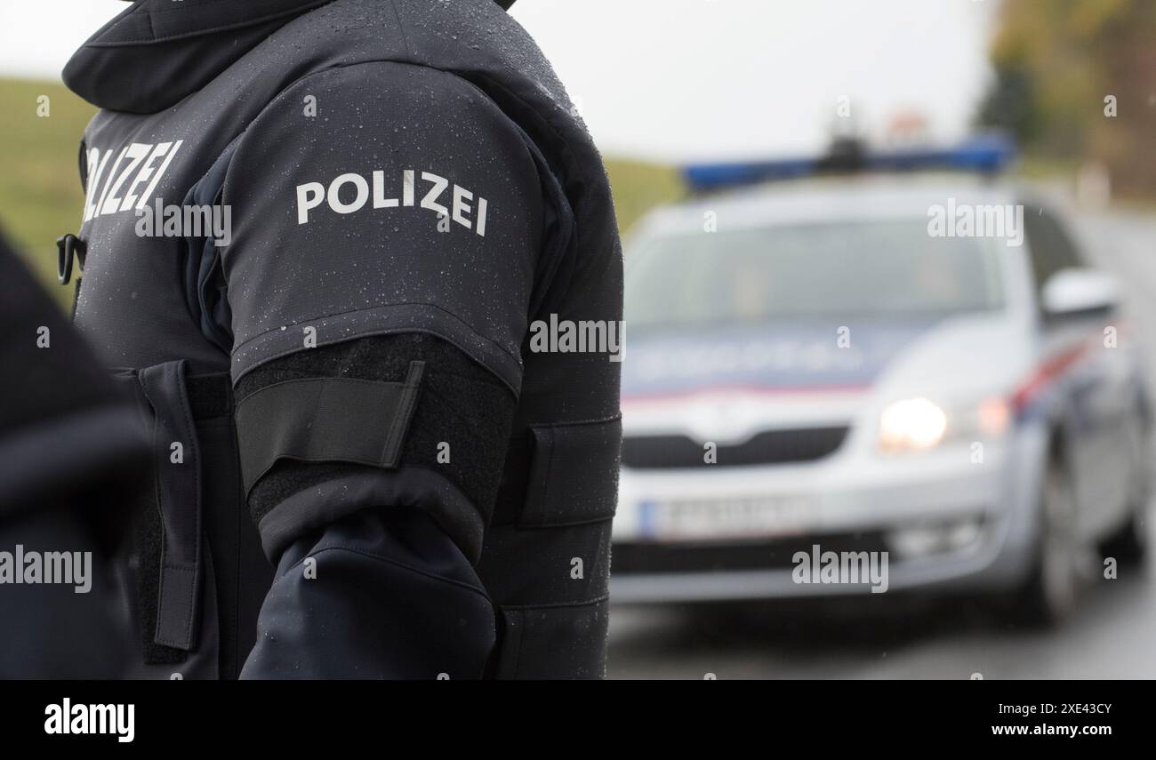 Simboli e segni delle forze di polizia austriache Foto Stock