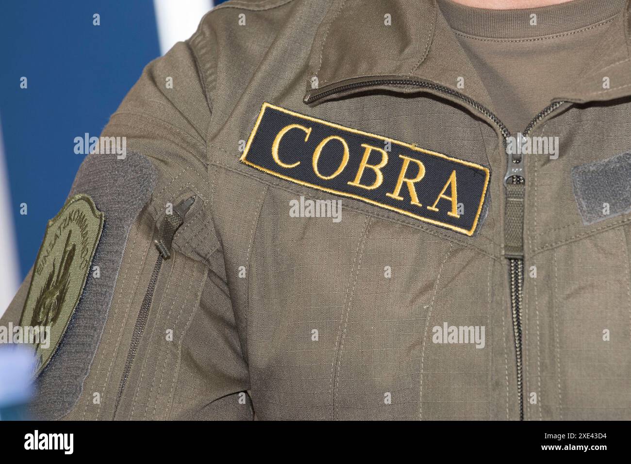 Simboli e segni delle forze di polizia austriache Foto Stock