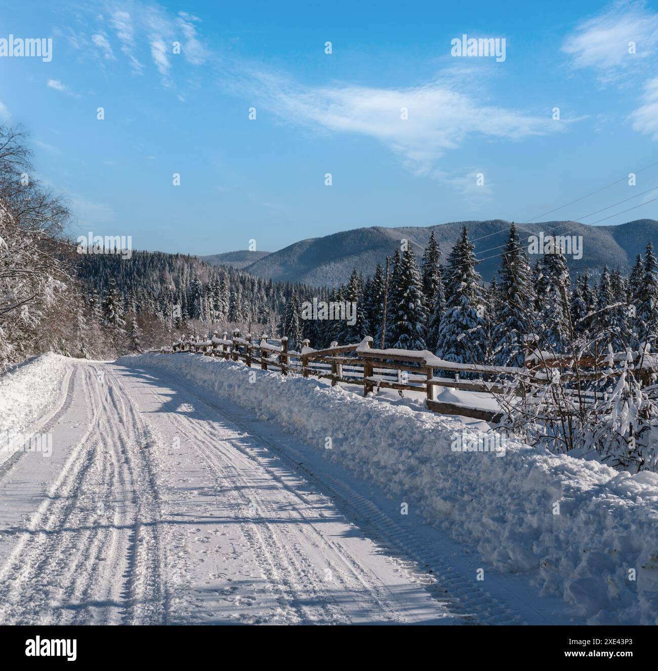 Campagna secondaria strada alpina a remoto borgo di montagna attraverso nevoso bosco di abeti, innevate derive e recinto di legno sul lato del percorso Foto Stock