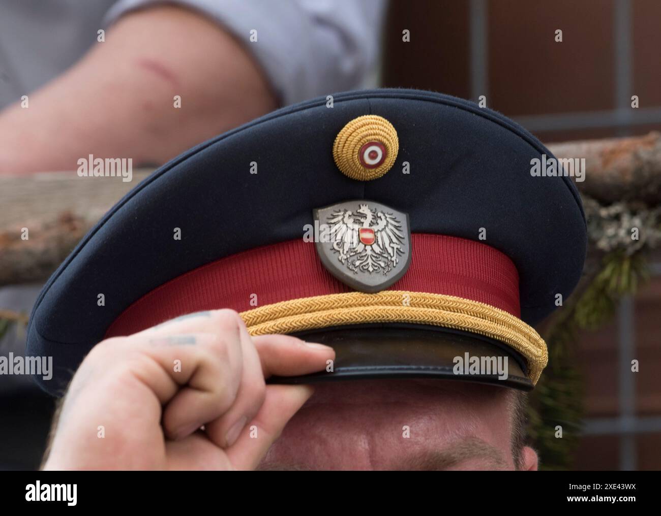Simboli e segni delle forze di polizia austriache Foto Stock