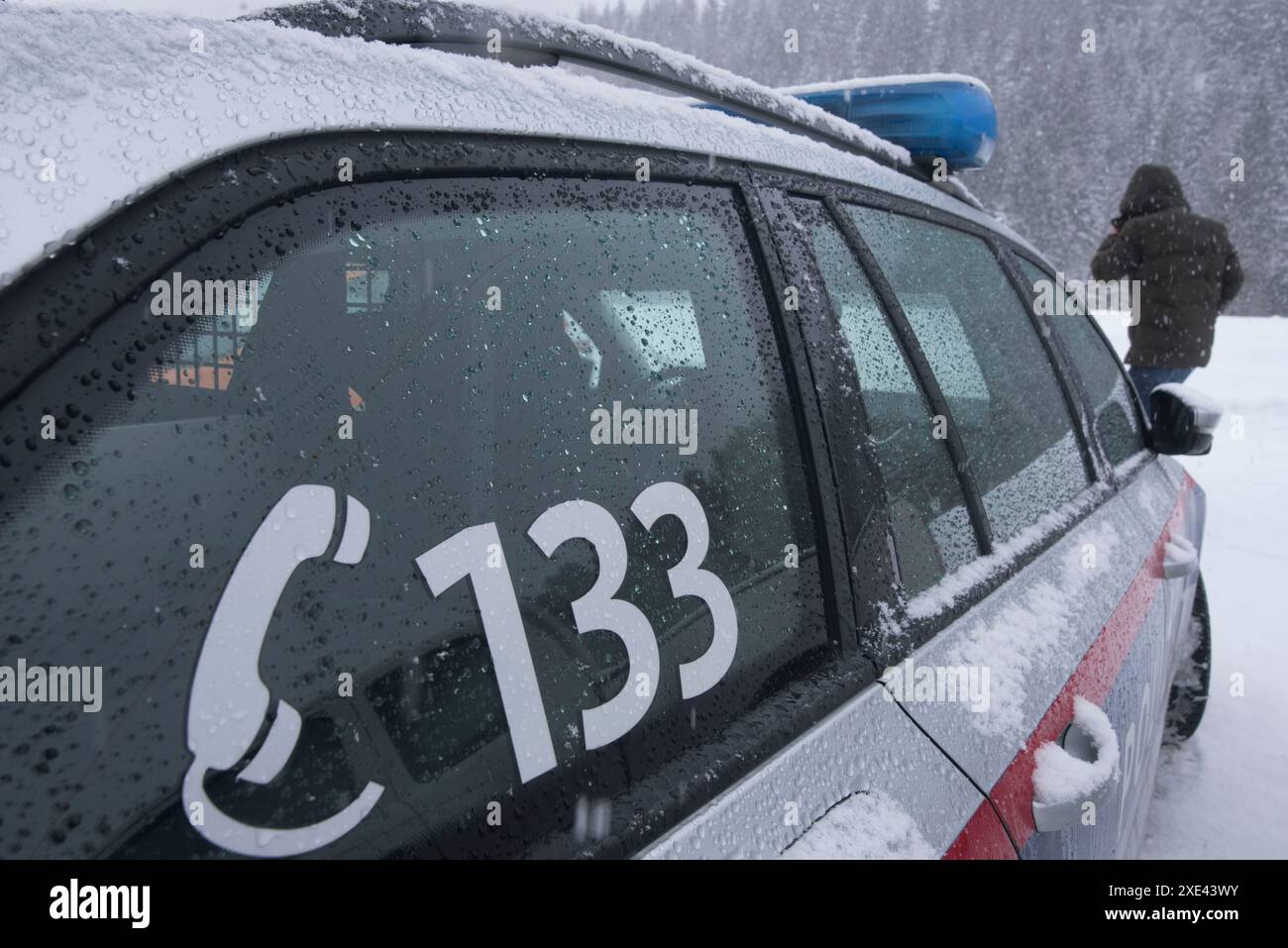 Simboli e segni delle forze di polizia austriache Foto Stock