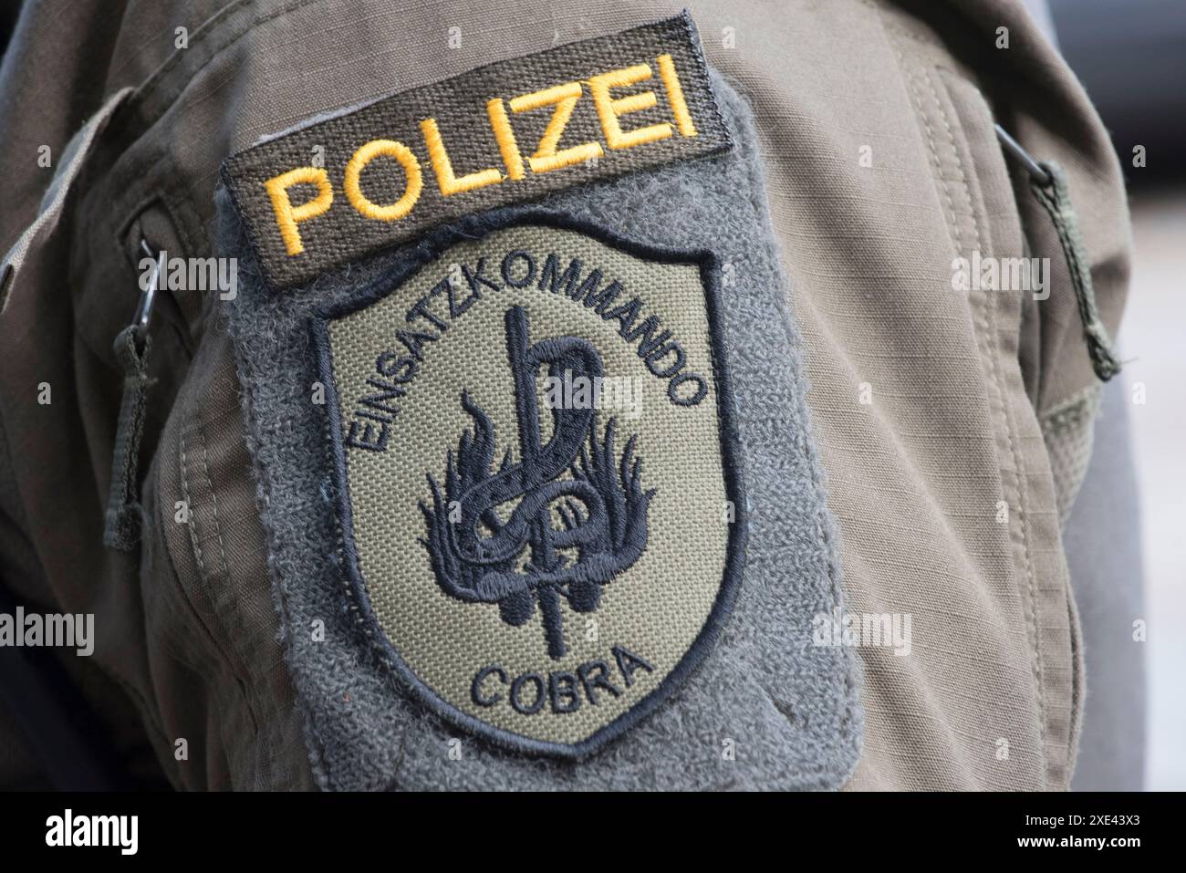 Simboli e segni delle forze di polizia austriache Foto Stock