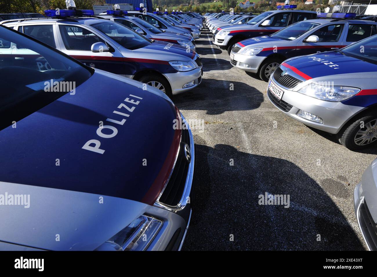 Simboli e segni delle forze di polizia austriache Foto Stock