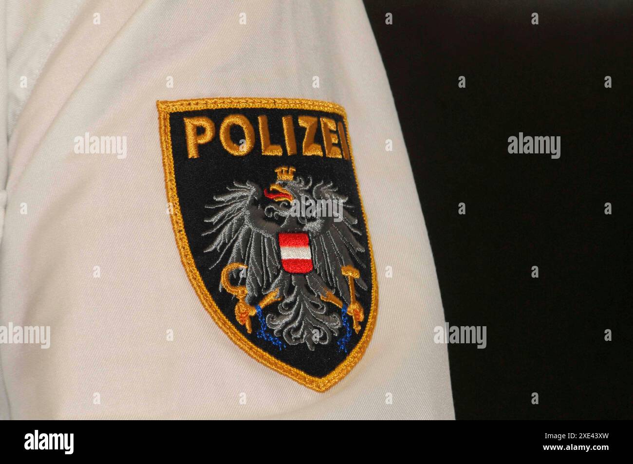 Simboli e segni delle forze di polizia austriache Foto Stock