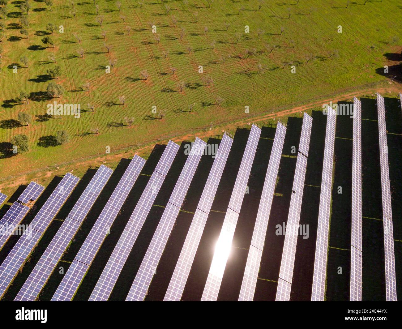 Parco fotovoltaico solare Marina de llucmajor Foto Stock