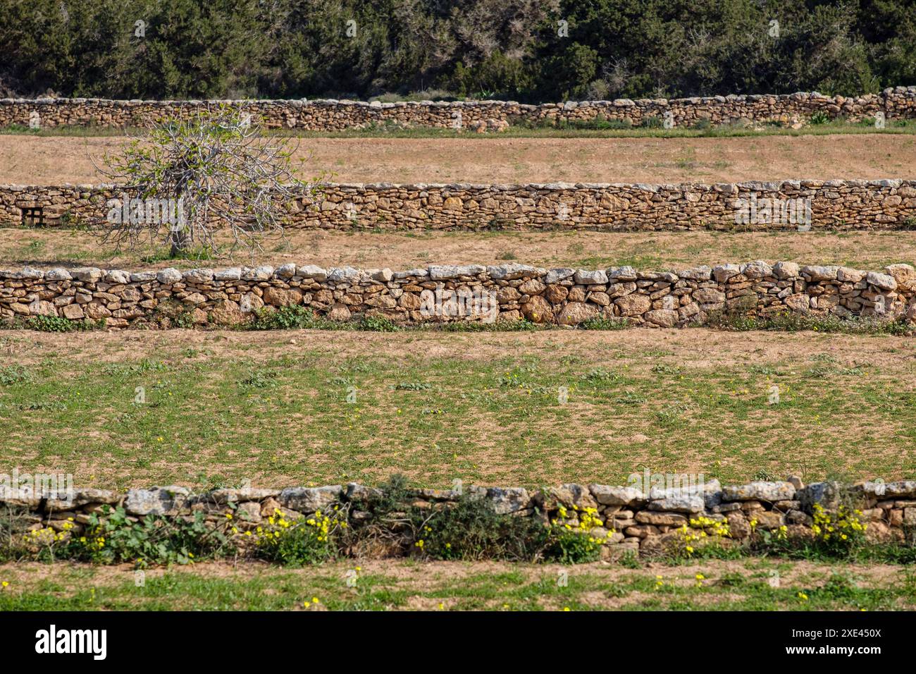 Tradizionali muri in pietra per terreni agricoli Foto Stock