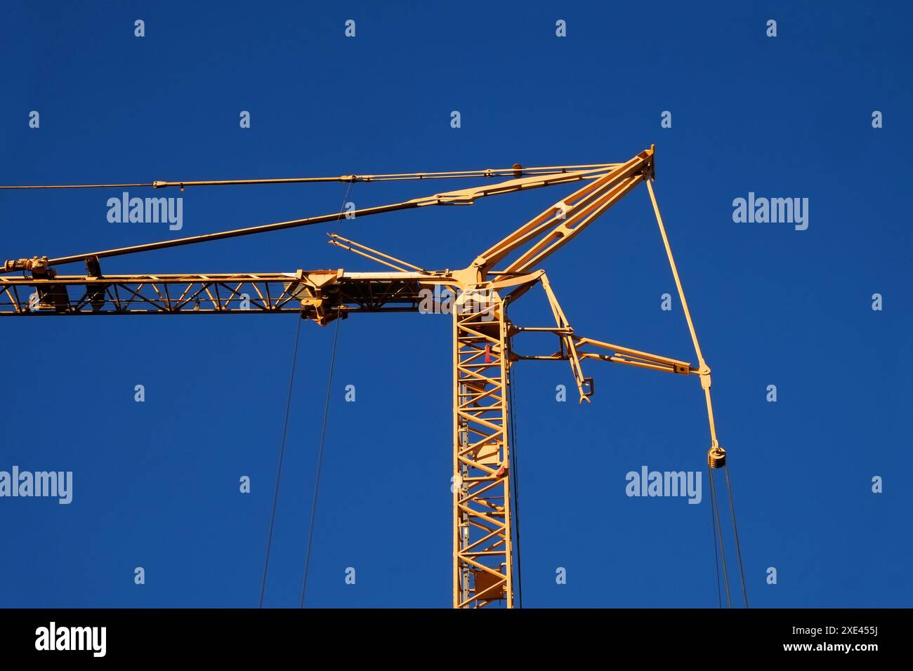La gru Foto Stock