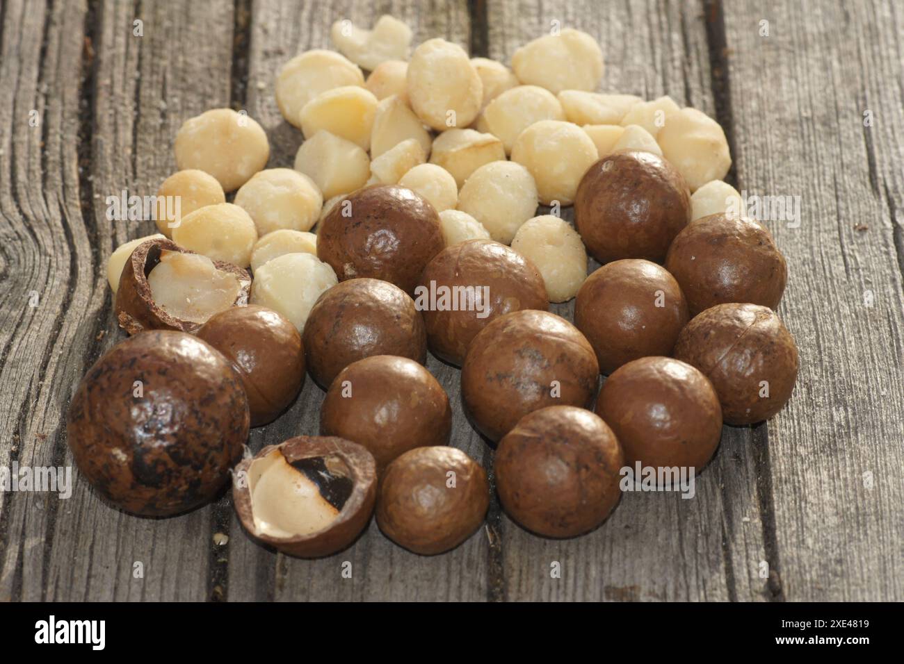 Macadamia, ciambella Foto Stock