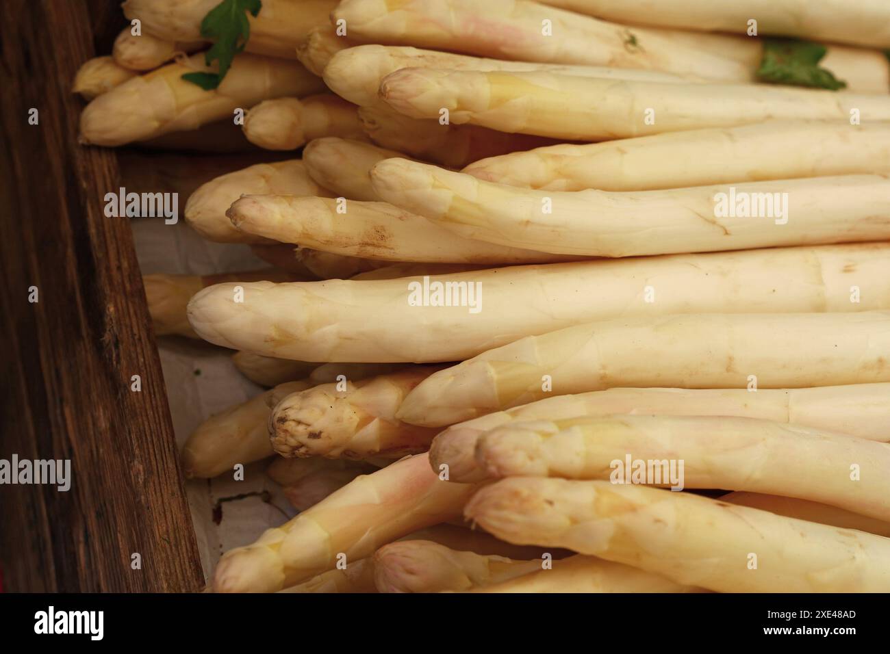 Asparagi bianchi in scatola di legno Foto Stock