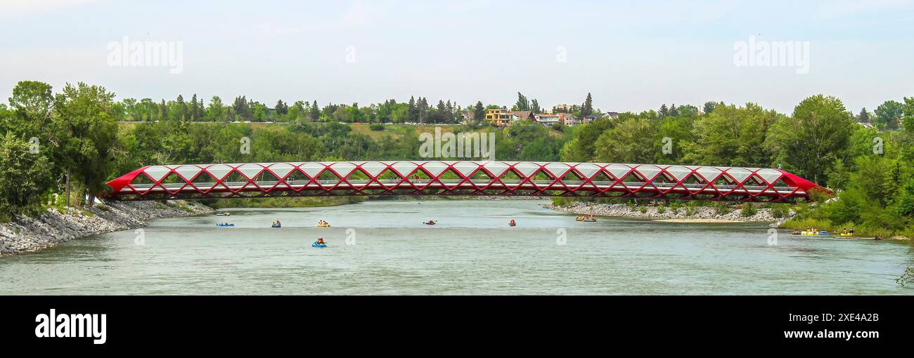 Calgary, Alberta, Canada. 10 giugno 2023. Peace Bridge, un ponte che ospita persone a piedi e in bicicletta sul fiume Bow Foto Stock