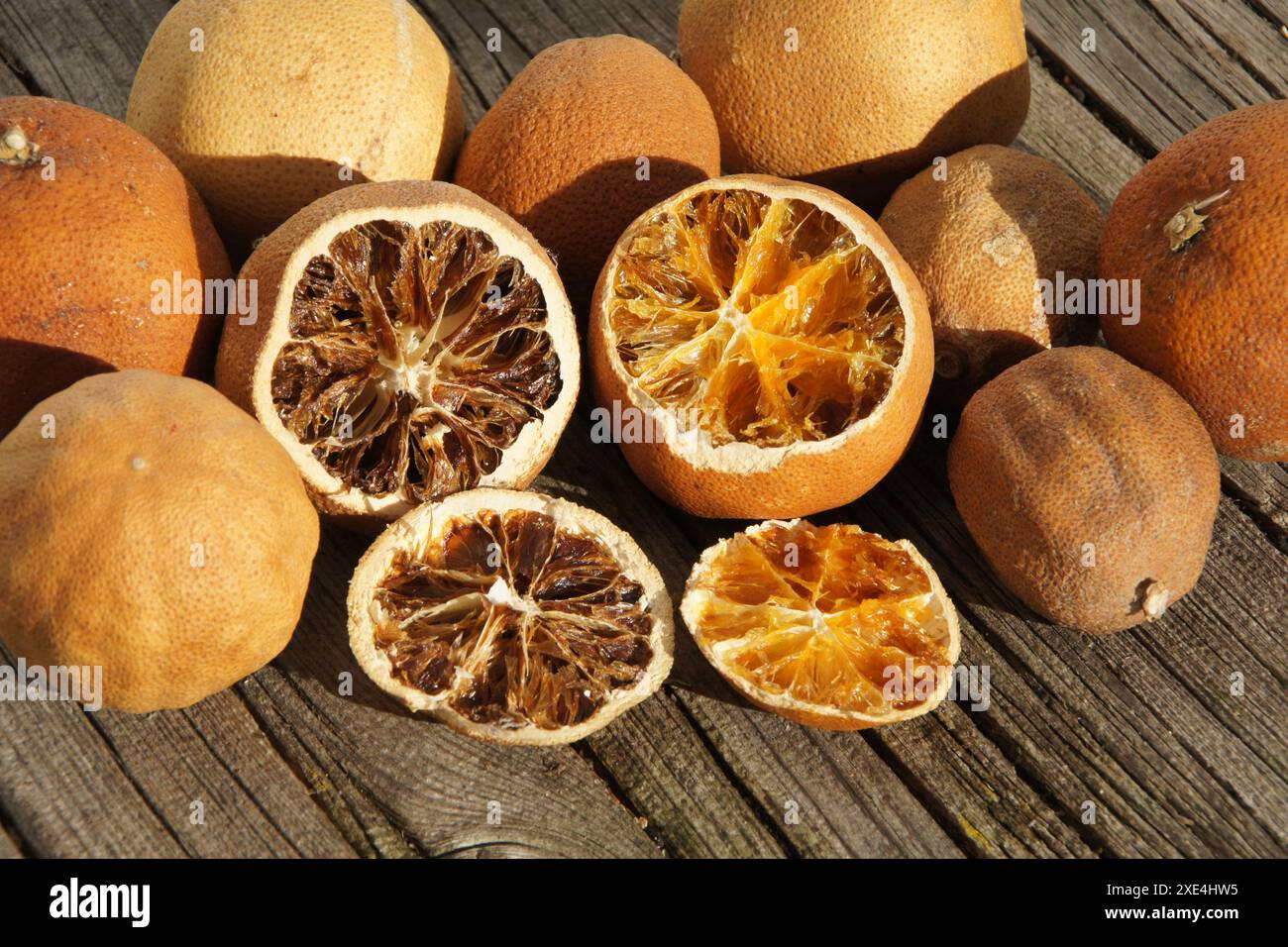 Agrumi, agrusfruechte, getrocknet, essiccati Foto Stock