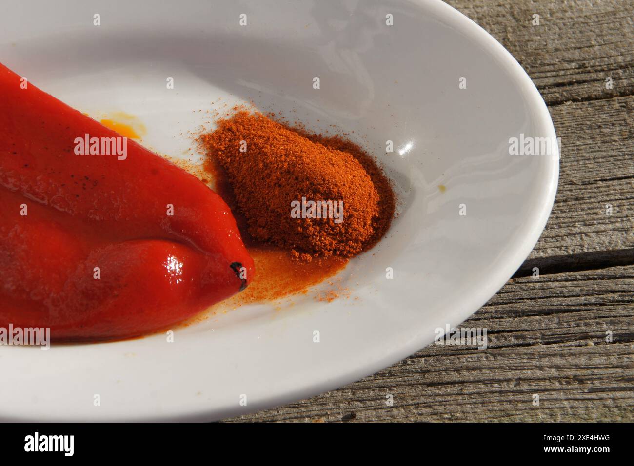 Capsicum annuum , Paprika, peperoncino rosso Foto Stock