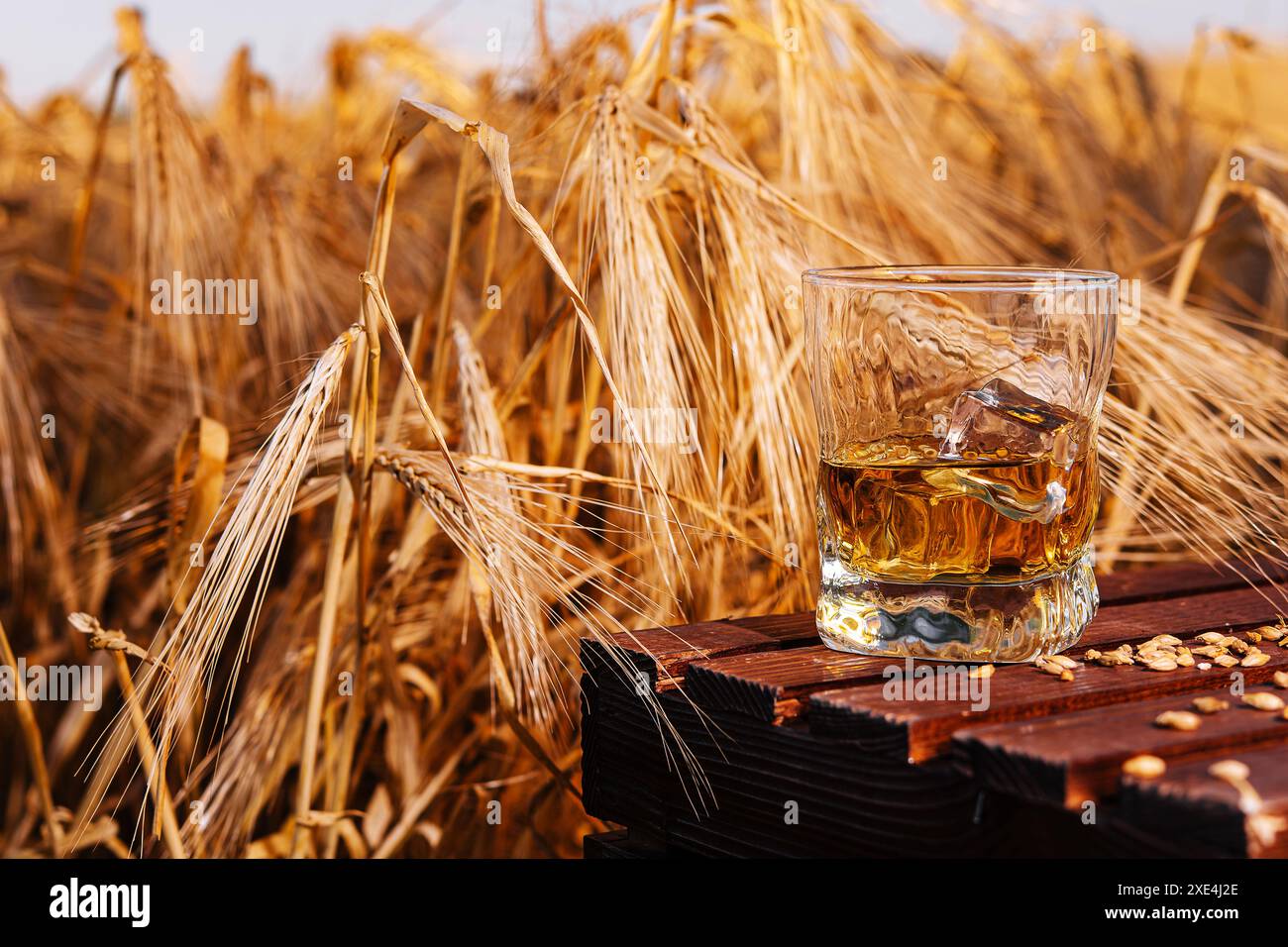 Bicchiere di whisky in un campo con le orecchie Foto Stock