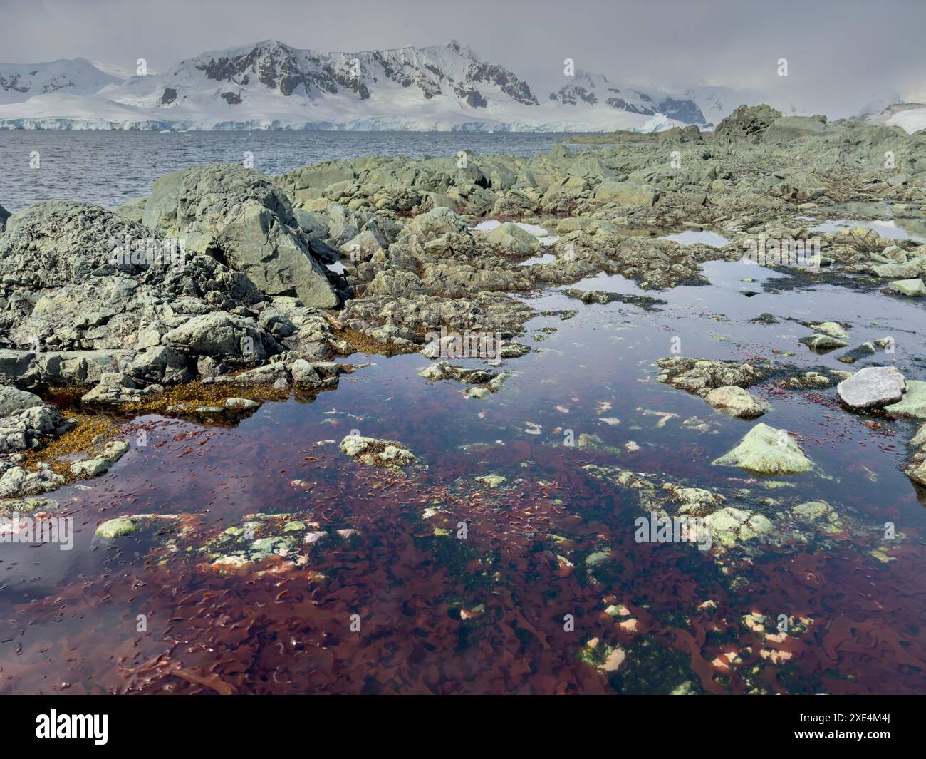 Un enorme ghiacciaio nell'oceano meridionale al largo della costa dell'Antartide, della Penisola Antartica, del Circolo Polare Artico meridionale, del wat azzurro Foto Stock Un enorme ghiacciaio nell'oceano meridionale al largo della costa dell'Antartide, della Penisola Antartica, del Circolo Polare Artico meridionale, del wat azzurro Foto Stock