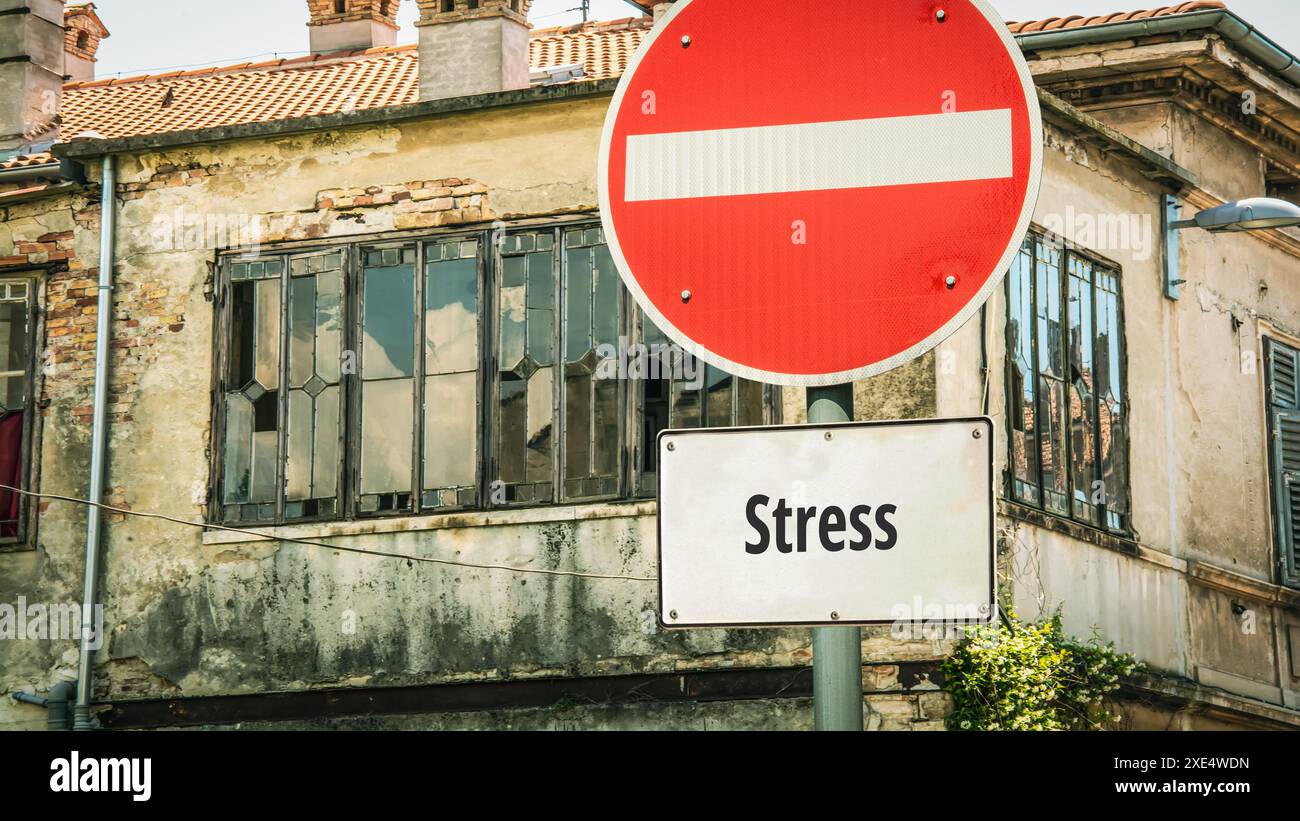 Un'immagine con un cartello che punta in due direzioni diverse in tedesco. Una direzione indica rilassamento, l'altra lo stress. Foto Stock
