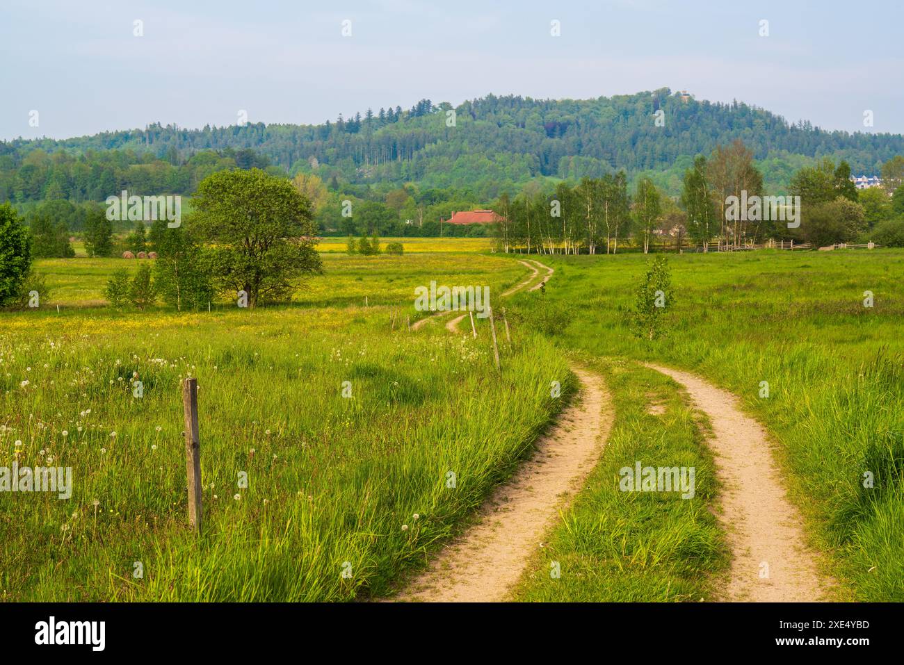 Paesaggio rurale incredibile. Strada del villaggio, erba verde nel prato. Alte montagne all'orizzonte. Polonia. Karkonosze. Montagna di Krkonose (Karkonose), Foto Stock