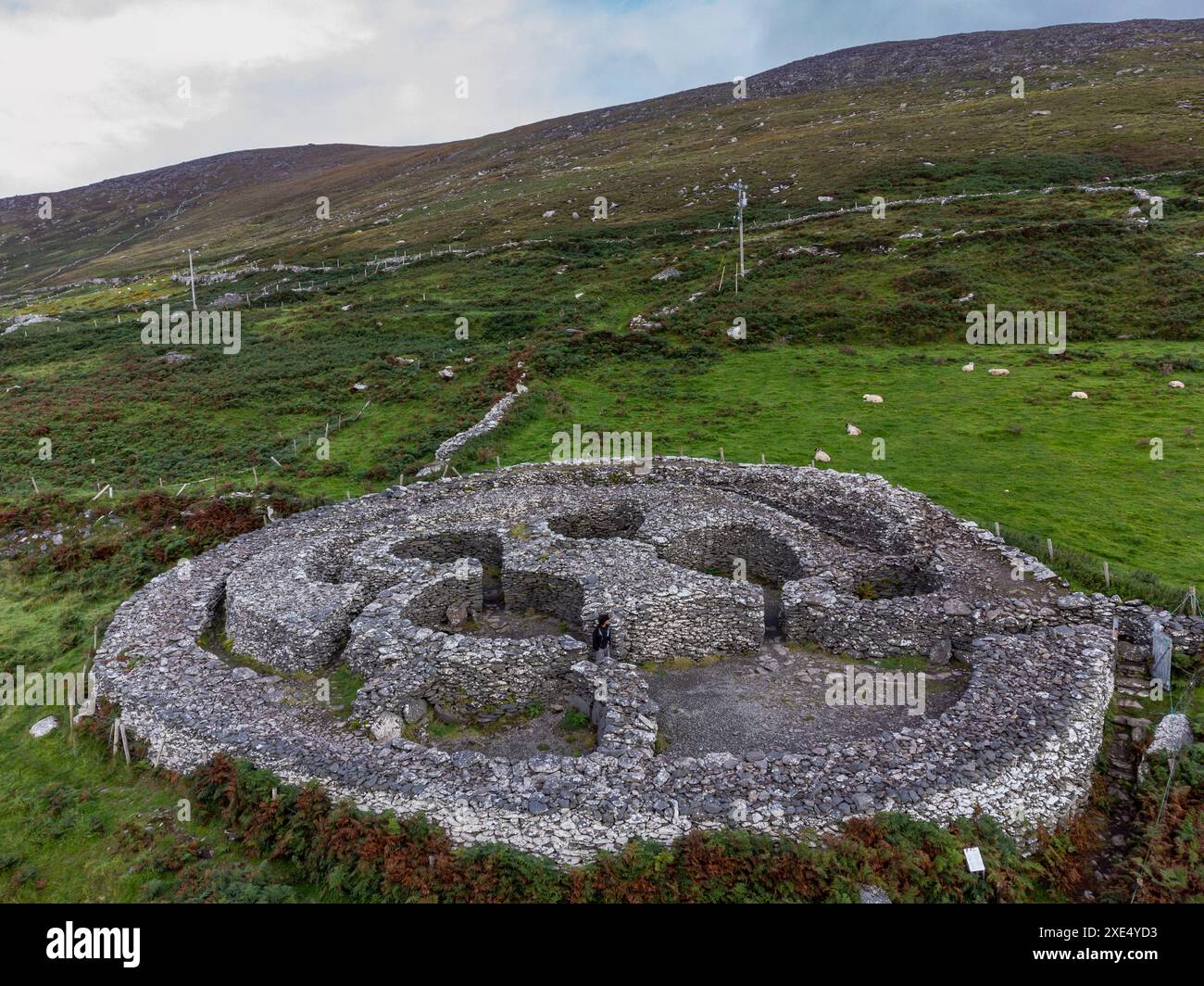 Cashel Murphy Foto Stock