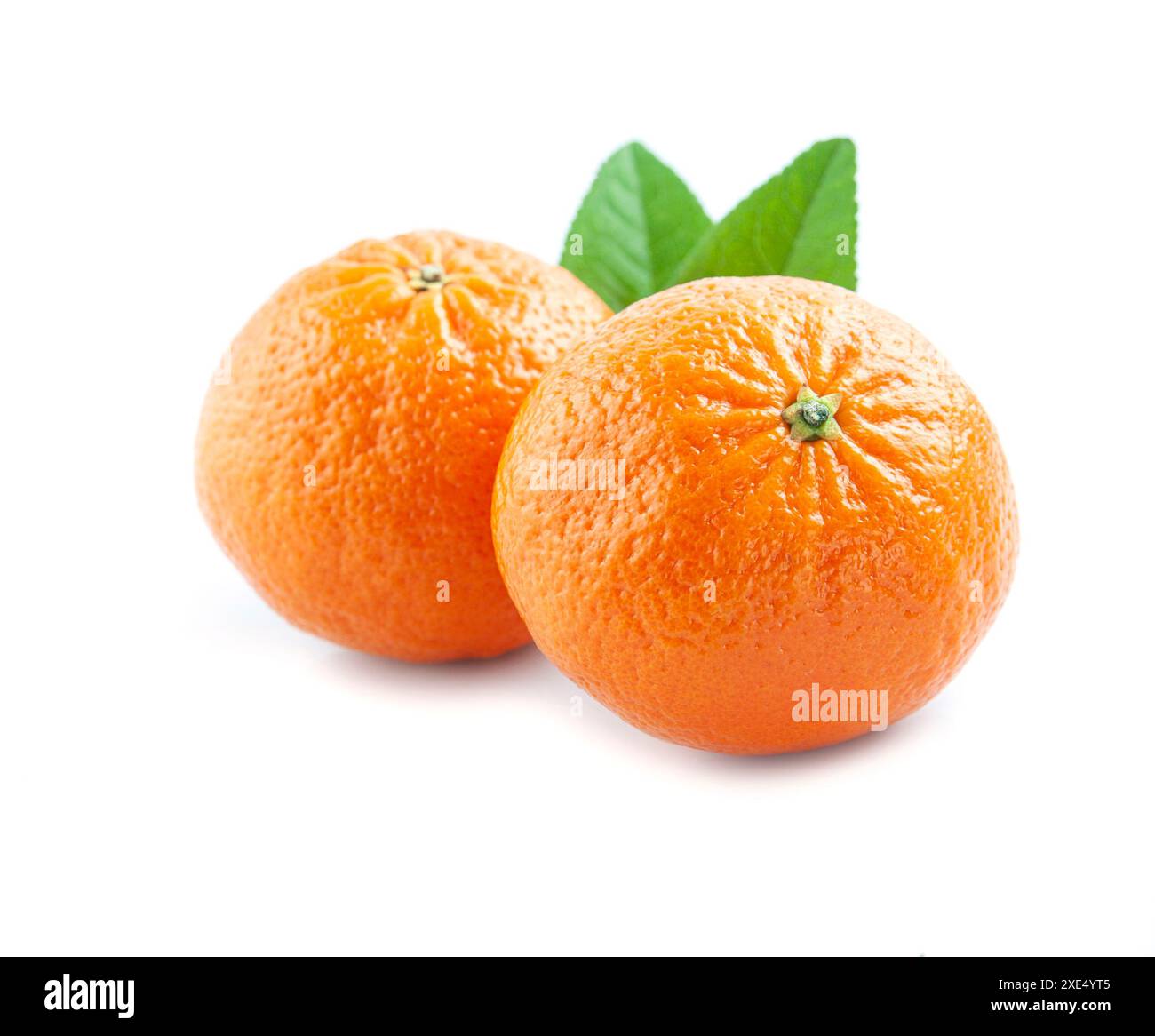 Tangerini o clementine isolate su sfondi bianchi. Foto Stock