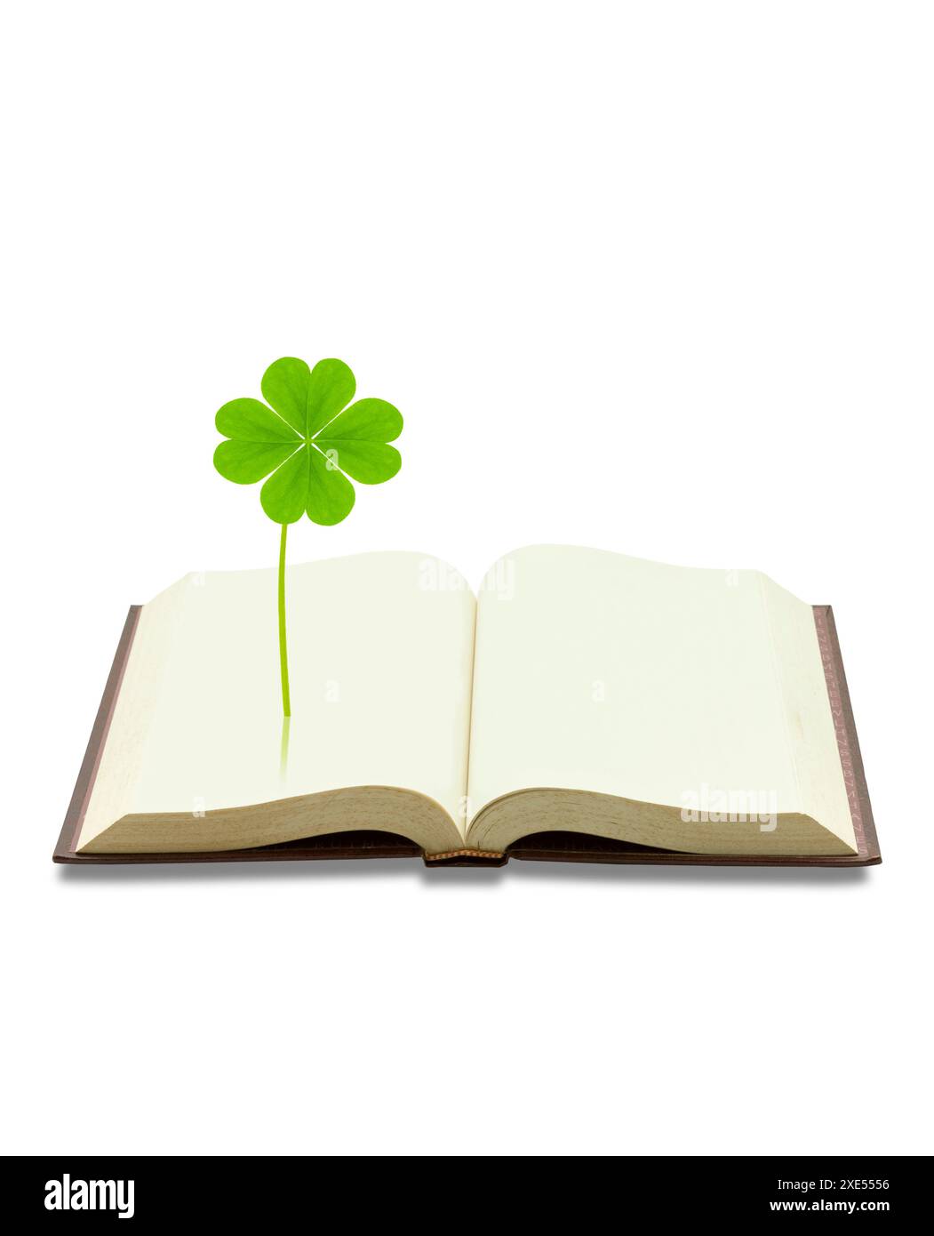 Libro e quadrifoglio Foto Stock