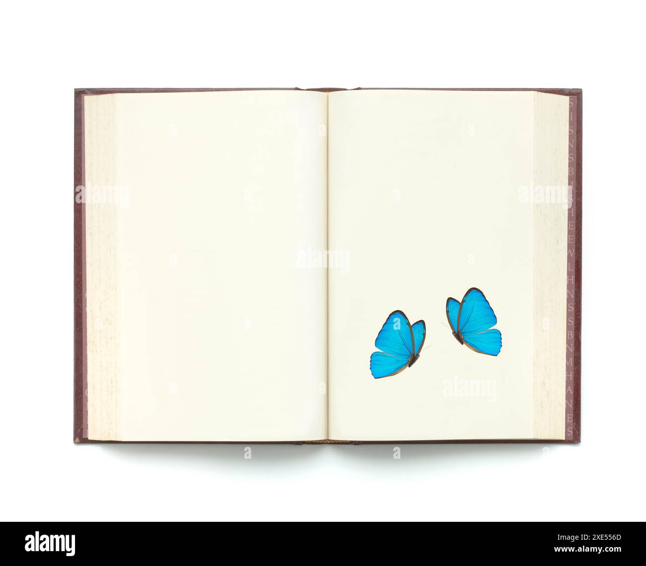 Libro e farfalla Foto Stock