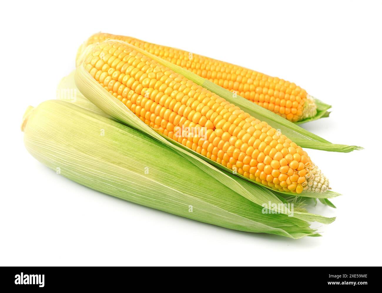 Una spiga di grano Foto Stock