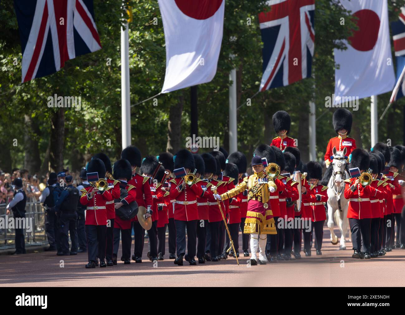 Una banda di soldati in marcia lungo il Mall per la visita di Stato a Londra dell'Imperatore Naruhito e di sua moglie Foto Stock