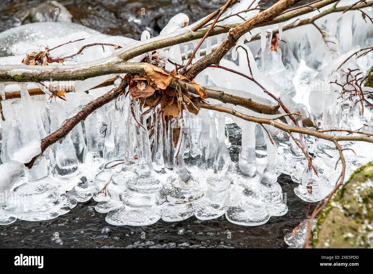 Strutture ghiacciate sul Frozen creek. Ghiaccioli sul flusso d'acqua. Macro, primo piano, dettaglio. Foto Stock