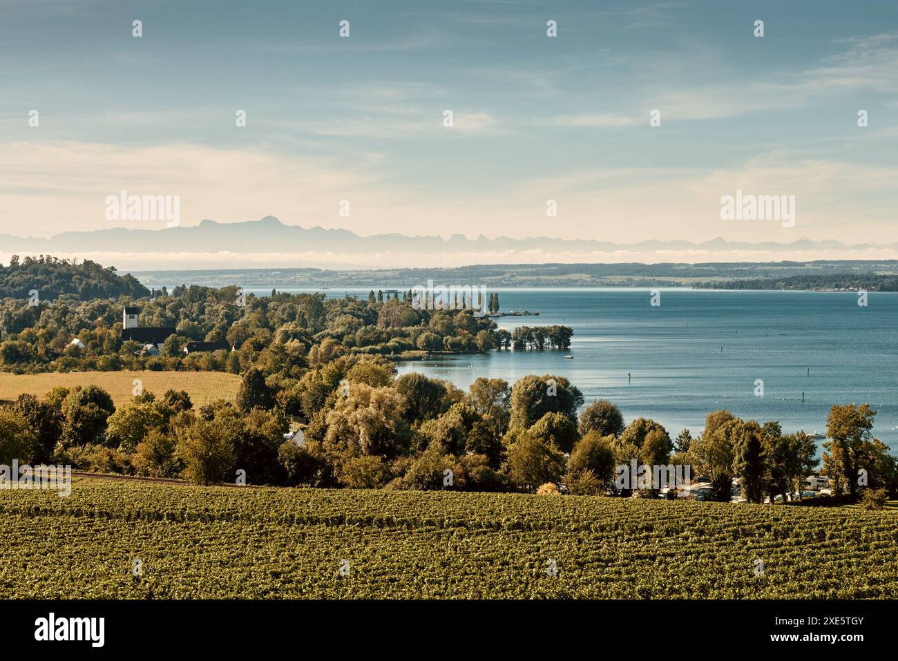 Panorama del Bodensee: Alpi sull'orizzonte, vigneti e bellezza pastorale. Orizzonte alpino: Bodensee, vigneti e villaggi pittoreschi Foto Stock