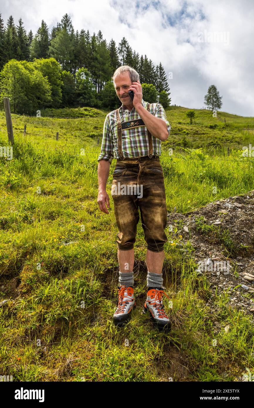 Un contadino parla al telefono cellulare indossando tradizionali lederhosen in pelle di capra, un cimelio di famiglia tramandato attraverso diverse generazioni, Hinterhölling, Großarl, Salisburgo, Austria. Si trova su un prato montano verde di fronte a una collina boscosa. Foto Stock