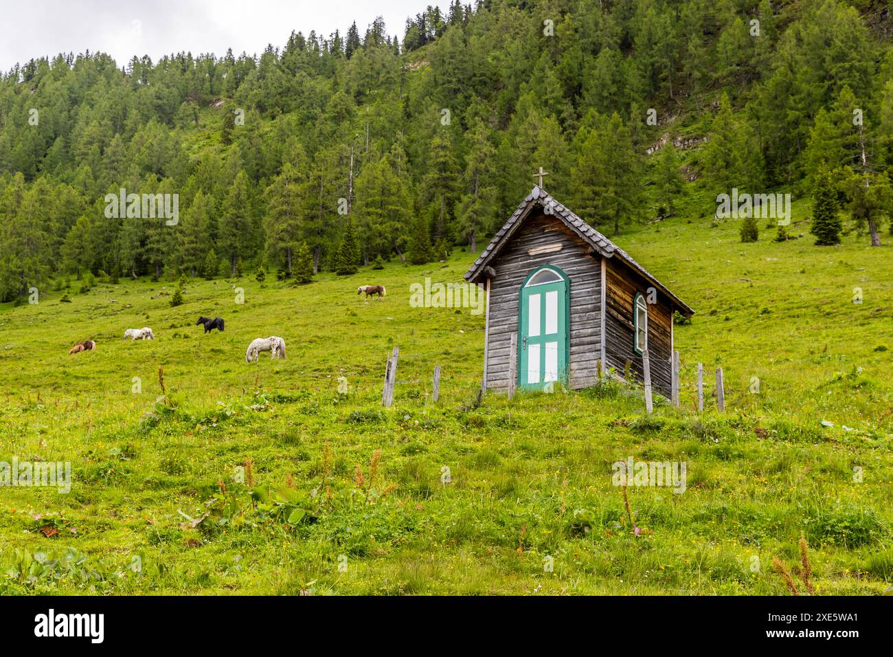 Langbrand, Salisburgo, Salisburgo, Austria Foto Stock