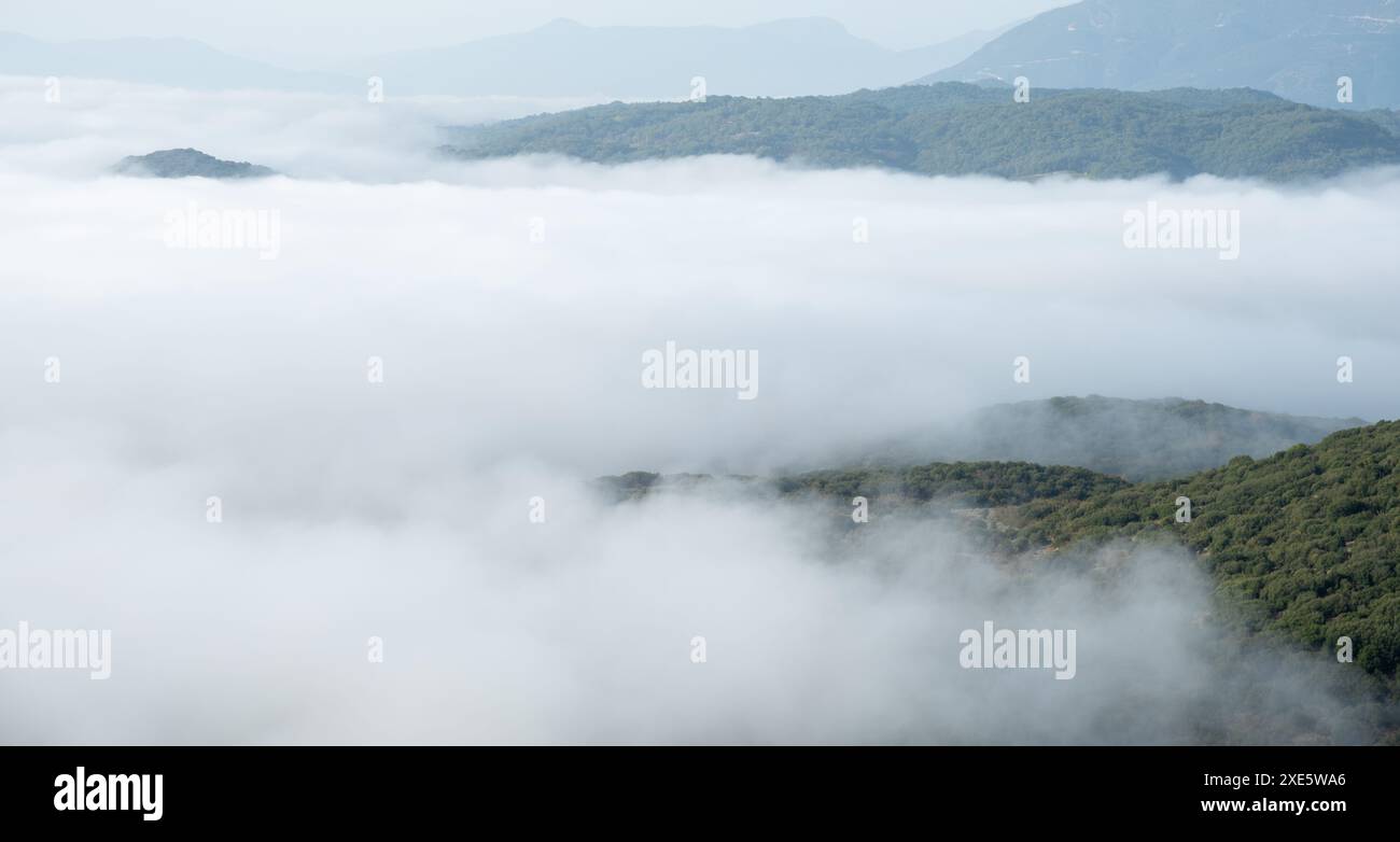 Le cime delle montagne sono coperte da uno strato di nebbia e nebbia all'alba. Natura e paesaggio Foto Stock