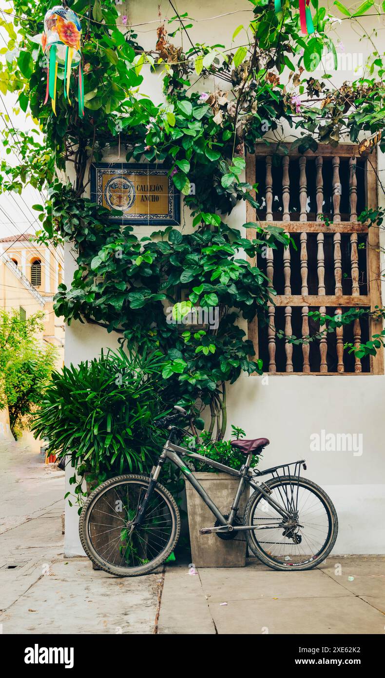 Una bicicletta rustica si appoggia su un muro coperto di edera in un affascinante vicolo stretto. La scena è impreziosita da una vegetazione lussureggiante, da una finestra in legno e da un arredo Foto Stock