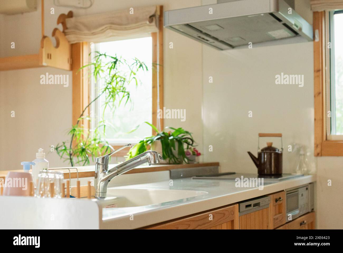 Immagine della cucina Foto Stock