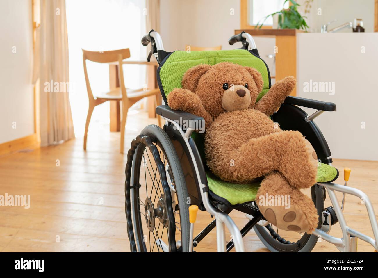 Soggiorno, sedia a rotelle, orsacchiotto imbottito Foto Stock