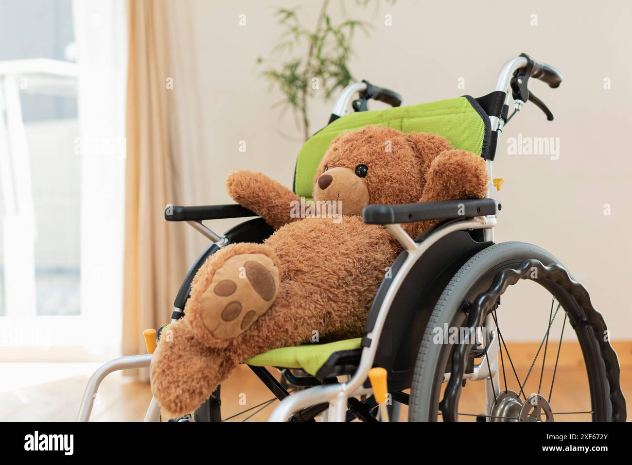 Soggiorno, sedia a rotelle, orsacchiotto imbottito Foto Stock