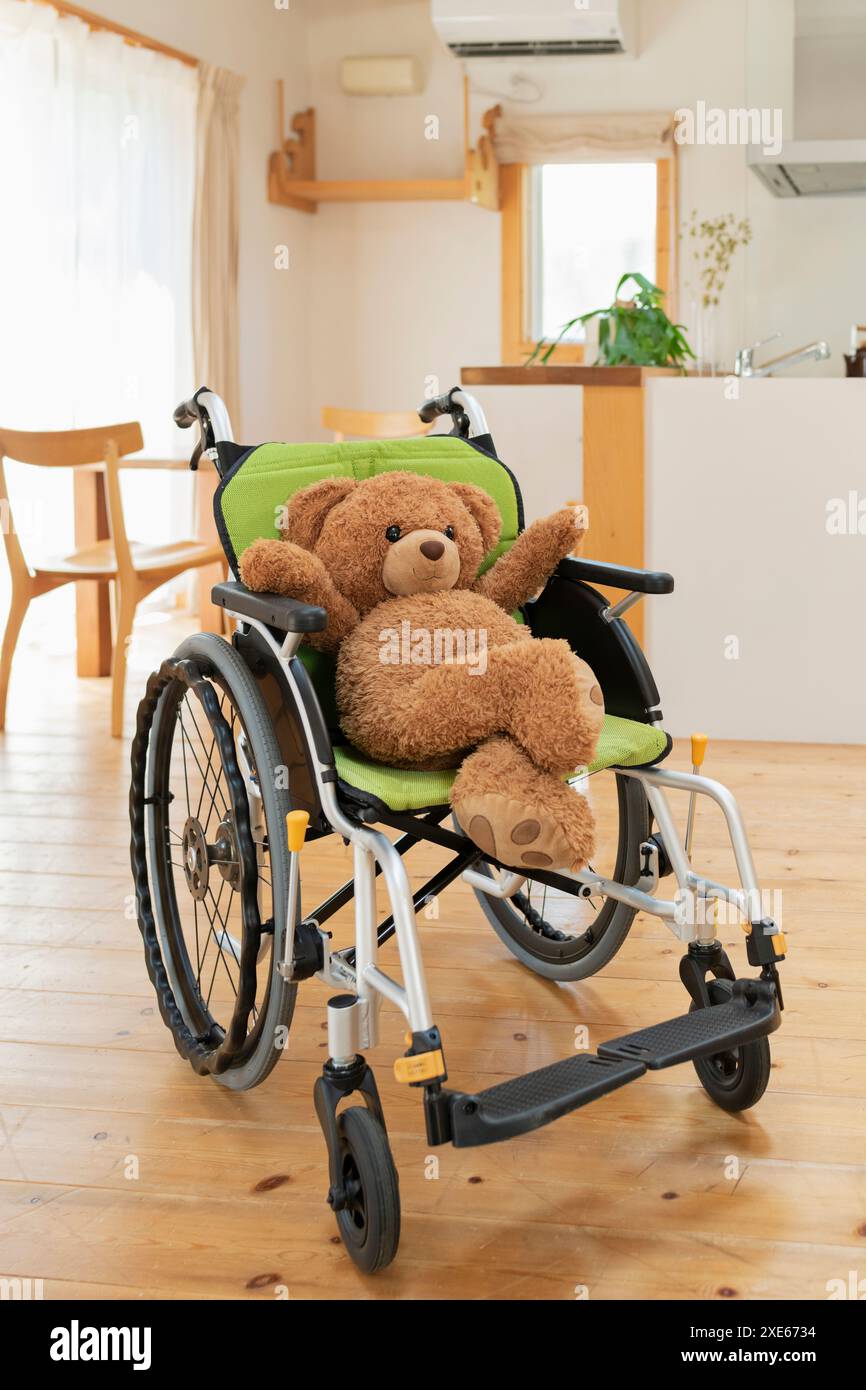 Soggiorno, sedia a rotelle, orsacchiotto imbottito Foto Stock