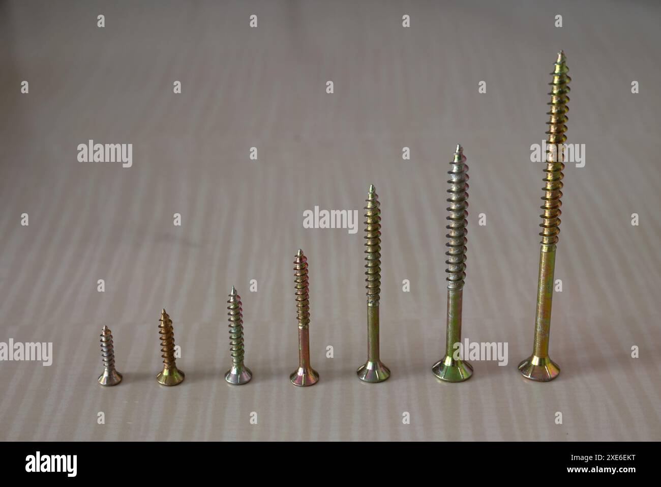 Viti truciolari, viti per legno, Torx, varie misure, un set di viti Foto Stock