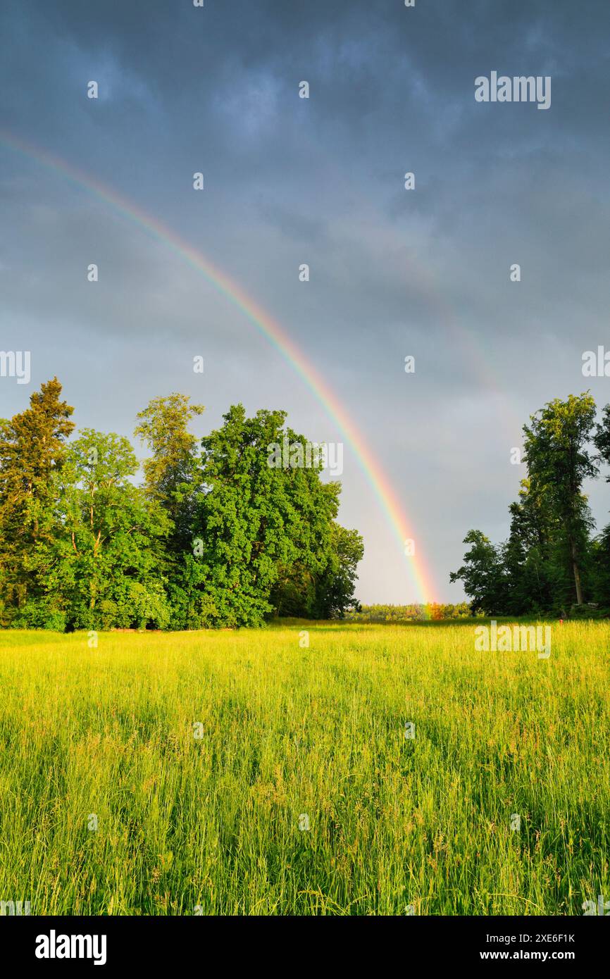 Atmosfera serale di tempeste con doppio arcobaleno sopra una lussureggiante foresta mista verde. Zurigo Oberland, Zurigo, Svizzera Foto Stock