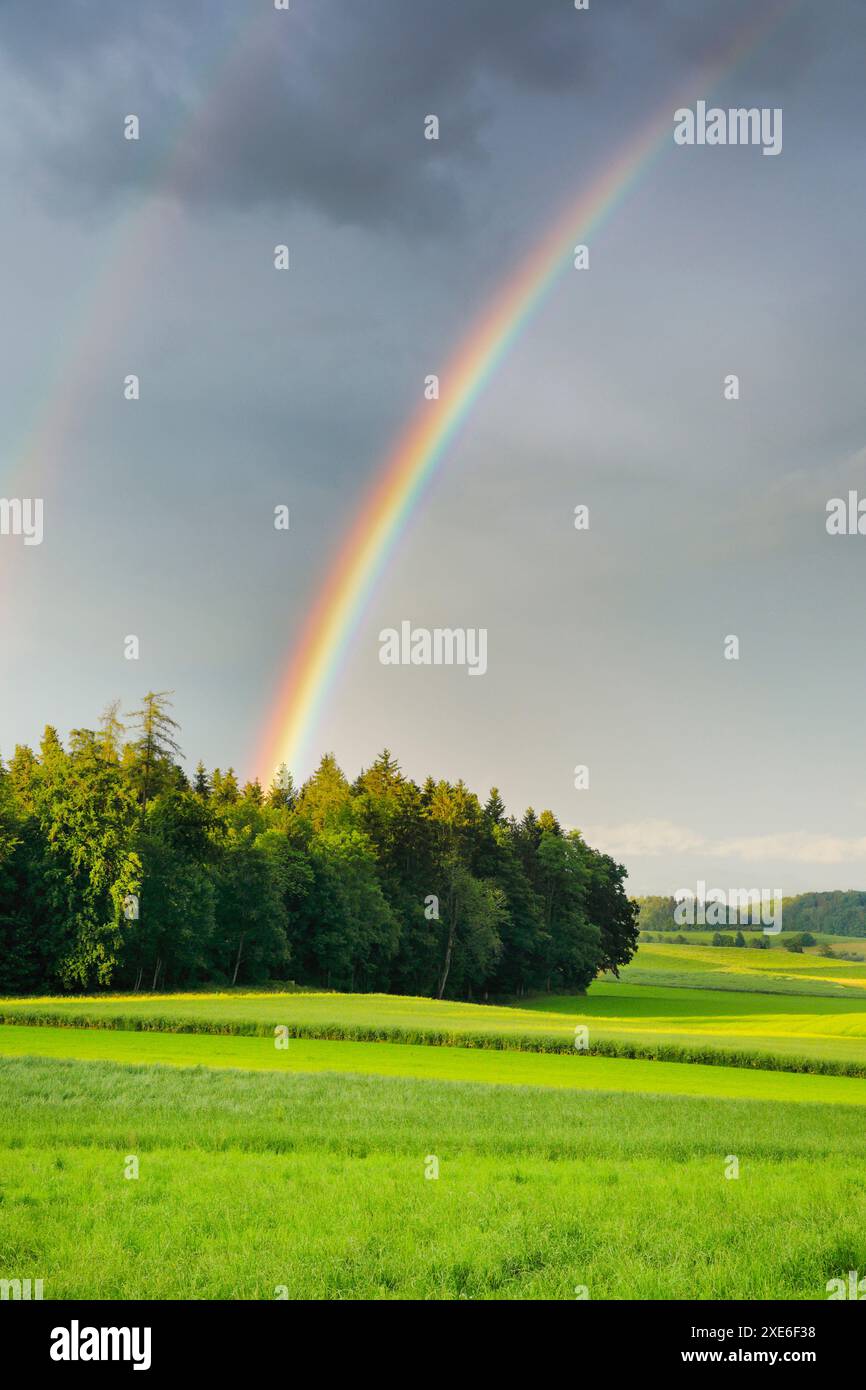 Atmosfera serale di tempeste con doppio arcobaleno sopra una lussureggiante foresta mista verde. Zurigo Oberland, Zurigo, Svizzera Foto Stock