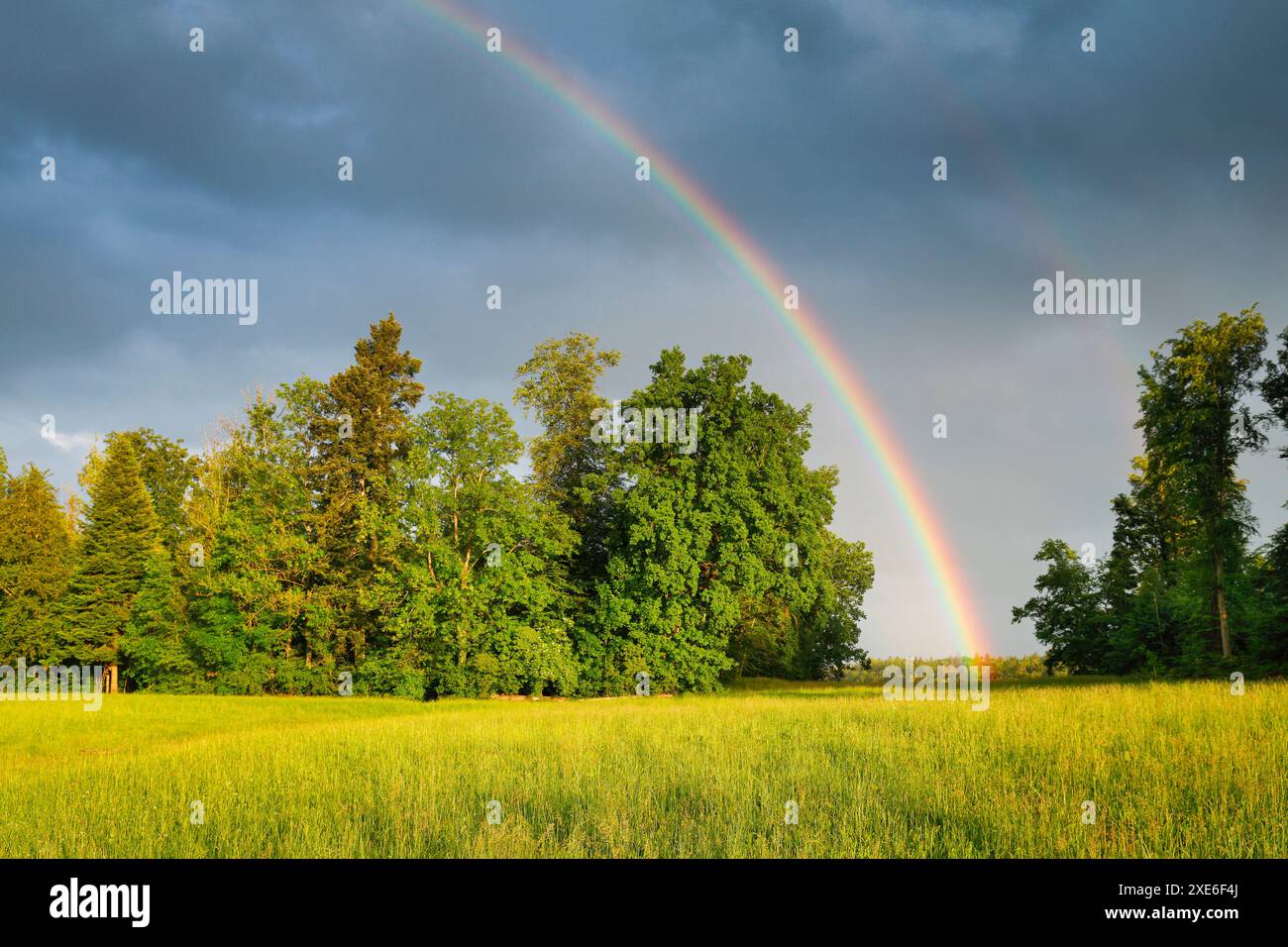 Atmosfera serale di tempeste con doppio arcobaleno sopra una lussureggiante foresta mista verde. Zurigo Oberland, Zurigo, Svizzera Foto Stock