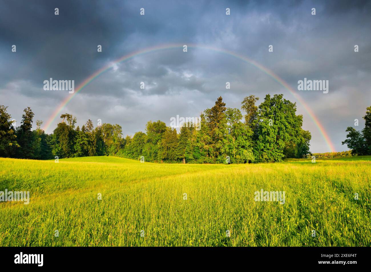 Atmosfera serale di tempeste con doppio arcobaleno sopra una lussureggiante foresta mista verde. Zurigo Oberland, Zurigo, Svizzera Foto Stock