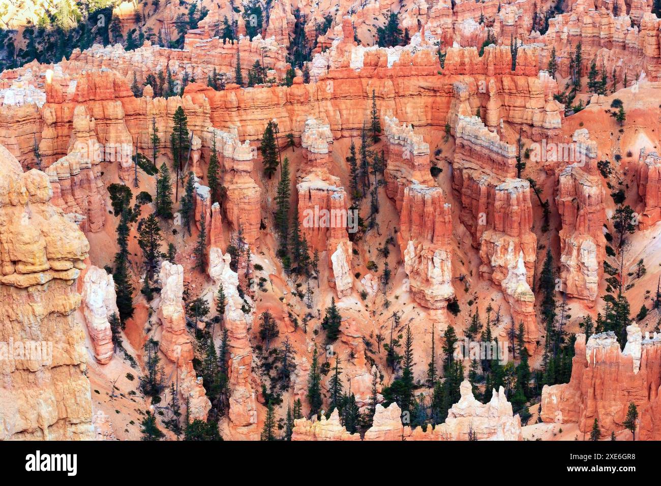 Il tramonto. Bryce Canyon Foto Stock