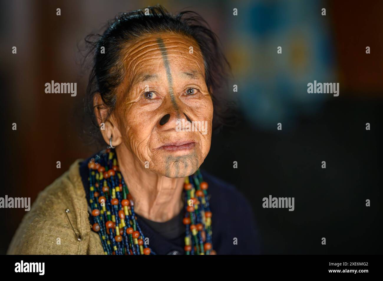 Ritratto di una donna con tappi per il naso e tatuaggio facciale, tribù Apatani, valle di Ziro, Arunachal Pradesh, India, Asia Copyright: JanettexHill 1185-616 Edi Foto Stock