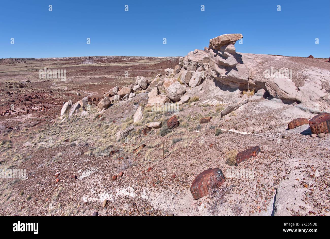 Una vista panoramica sul lato ovest del Giant Logs Trail presso il Petrified Forest National Park, Arizona, Stati Uniti d'America, North America Copyrig Foto Stock